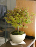 ��ɱ�ߺ���ȭ20120415m