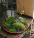 ���ߺϱ�20120420m