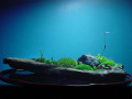 ���ߺϲ�20120112m