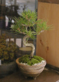 �����ߺ�20120413m