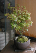 �����ߺ�20120417m