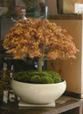 �����ߥ��ߺ�20120413m