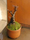 ���ߺϹ�ȭ20111212m