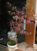 �����ߺ�2012042m