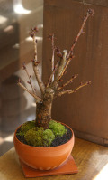 ���ߺ�20110311m