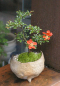 Ĺ�����ߺ�20120502m