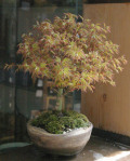 ��ɱ�ߺϾ���ƻ��20120406m