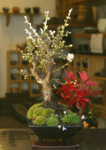 ���ߺ�20110122m