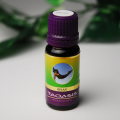 TAOASIS�֥��������ʥ��å�����