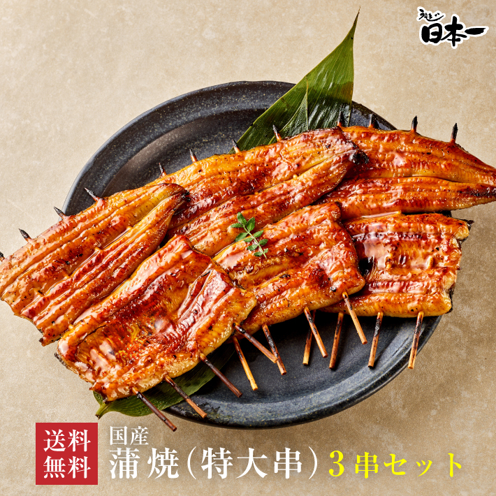 うなぎ蒲焼（特大串）3串ギフトセット＿送料無料
