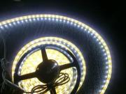 LED�ơ��ץ饤�ȡ�SMD5050�����ۥ磻�ȡ�300�塢5m