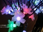 LED����ߥ͡�����󡢥��ƥ��å����ե��ѥ��饤�ȡ�35�塢RGB