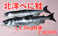 ��ǽ�建