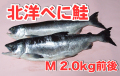 ��ǽ�建