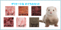 �ե��åȤ���󥻥å�