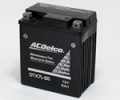 ACDelco���Х����ѥ�����ɥ�����