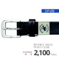 �ӥХ꡼�ҥ륺�ݥ������ �٥�� (�֥�å���CP-26)