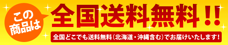 全国送料無料