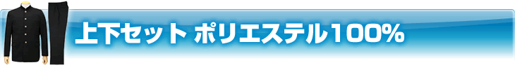�岼���å� �ݥꥨ���ƥ�100�� 