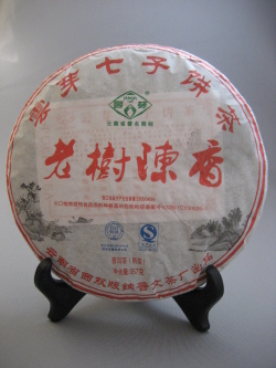 普文ブランドの古茶樹プーアル茶 プーアール茶通販専門店 雲瀾茶館