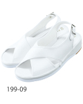 199-09 �ʡ������塼�������