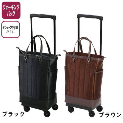 ����ˡ������������󥰥Хå������ơ���2��L21(D-128)