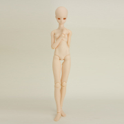 50cm���ӥĥܥǥ����ۥ磻�ƥ���