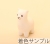 アルパカ1
