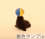 アシカ1