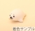アザラシ1