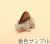 ディメトロドン1