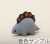 ステゴ1
