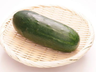【Ve】【加賀野菜】加賀太胡瓜〈カガフトキュウリ〉1本、200gから300g前後