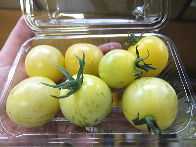 【Ve】【品種・品名お任せ】【色：白系】ミディトマト1パック、100gから200g前後、10から30個前後