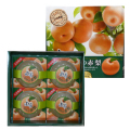 �Ʋȡ���ͳ�۾���������ۡ���ʬ��ͳ�ۻԾ����������Ȥä��֤䤫�ʴŤ��Υ��꡼��