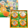 �Ʋȡ��٤äԤ󥼥꡼�ڵ��ۤ���̼�ۡ��������ʬ�����֥��ɥ���󥸡�