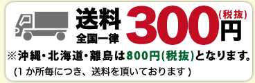 �����������Χ315�ߡʢ����졦�̳�ƻ��Υ���840�ߤȤʤ�ޤ���