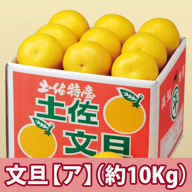 土佐文旦【ア】約10kg(ご家庭用)※ポイント付与対象外 土佐文旦【ア】