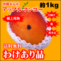 �櫓����ޥ󥴡� 1kg ����̵����