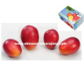 �ޥ󥴡� �ʲ��� �����绺��1kg��3��4�̡�����̵����