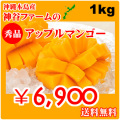 ��ë�Υ��åץ�ޥ󥴡��������绺��1kg��3��4�̡�����̵��