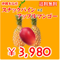 ���ʥå��ѥ�����ޥ󥴡����å� ����̵����