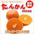 �������绺���󥫥� 5kg ����̵����