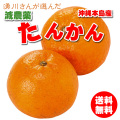 Ͱ������������������󥫥� 5kg ����̵����