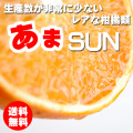 ����SUN 3kg ����̵����