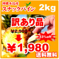 �櫓���ꥹ�ʥå��ѥ��� 2kg �������绺 ����̵����