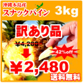 �櫓���ꥹ�ʥå��ѥ��� 3kg �������绺 ����̵����