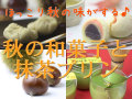 ����̣�С���̣�����²ۻҤ�����ץ�󥻥å�