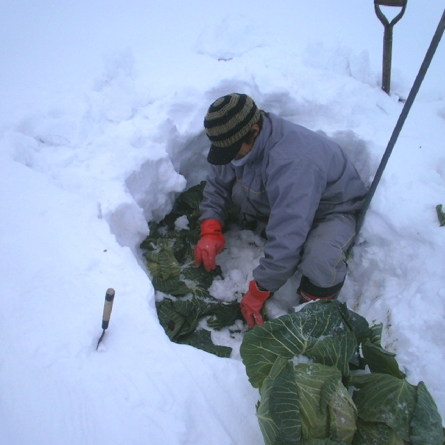 ���O�����܂��O����A���͉��������񂾂��B���������ȁB