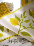 �ɥ�������ܥ�.�ե��֥�å�Citron